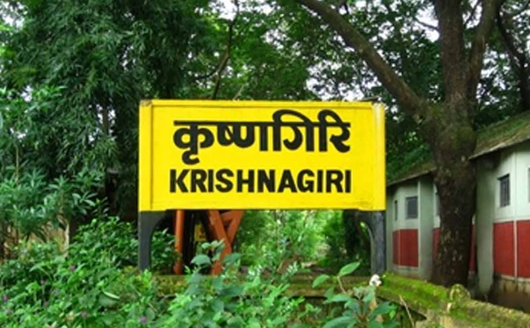 Krishnagiri incident 17 age old boy women 