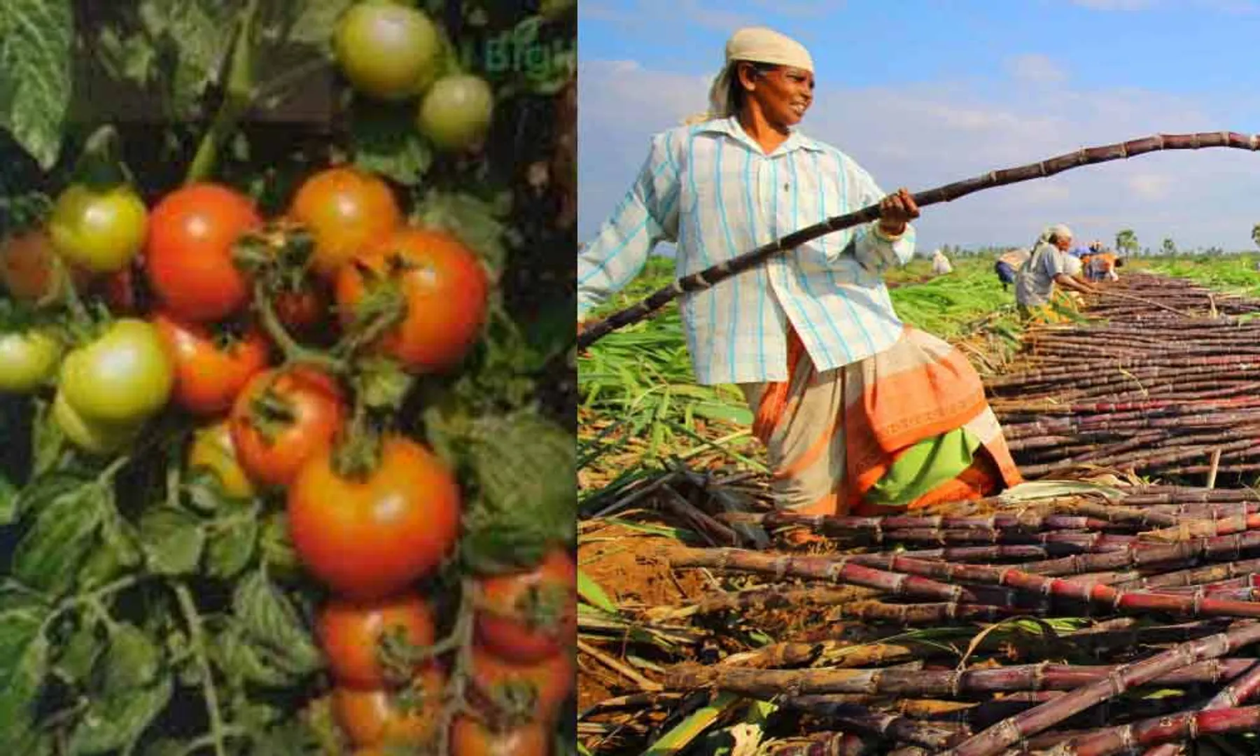  Farmers question to tn cm