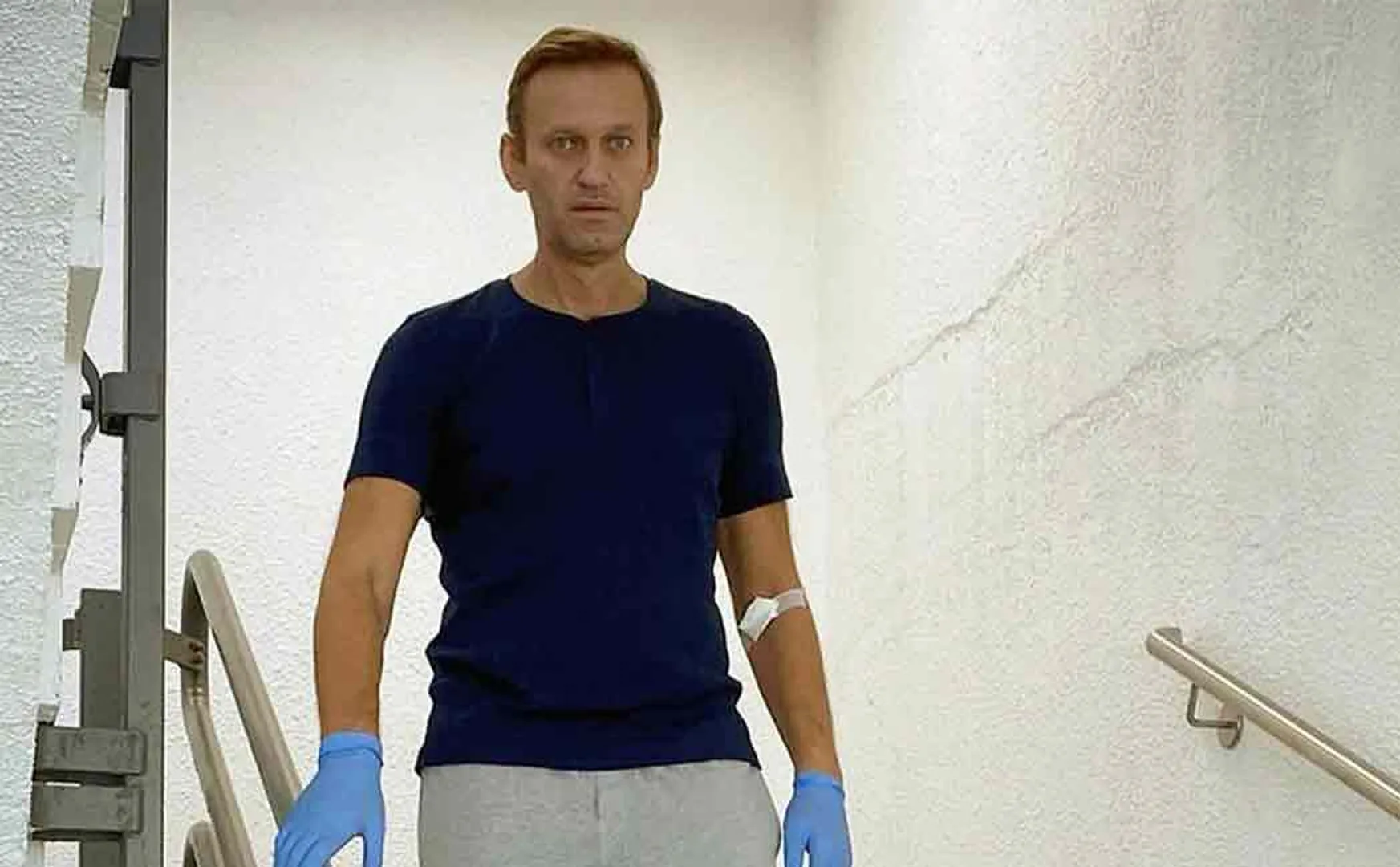 navalny discharged from berlin  hospital