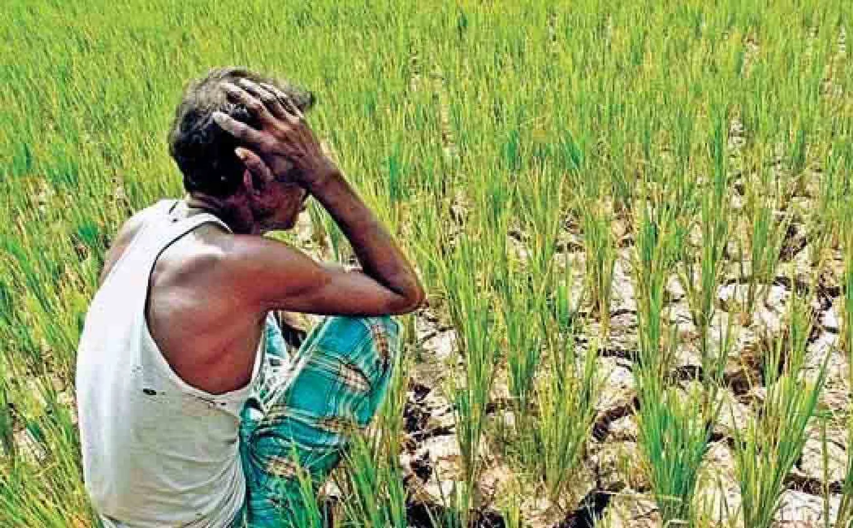 two haryana bjp leaders oppose farmers bill