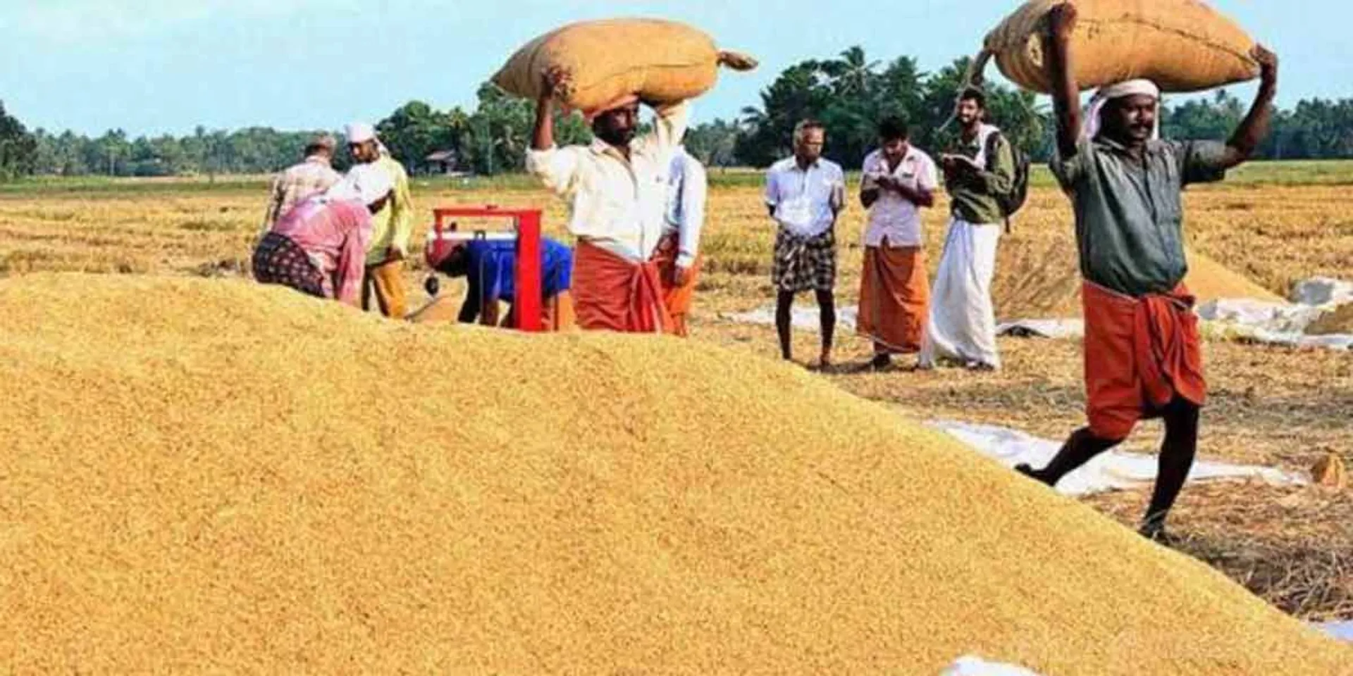 Purchase of paddy at new prices from tomorrow - Minister Kamaraj