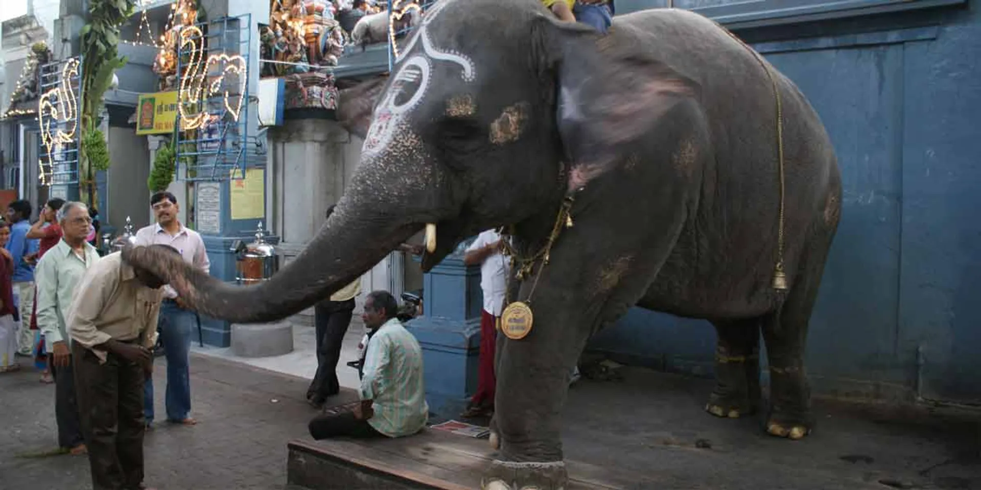 madakkulam vingayagar temple highcourt 
