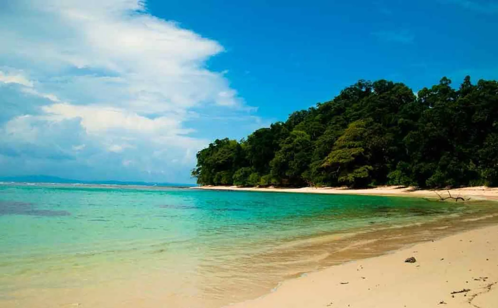 Andaman and Nicobar island to lose Rs 8,000 crore in revenue in 6 months by Corona!