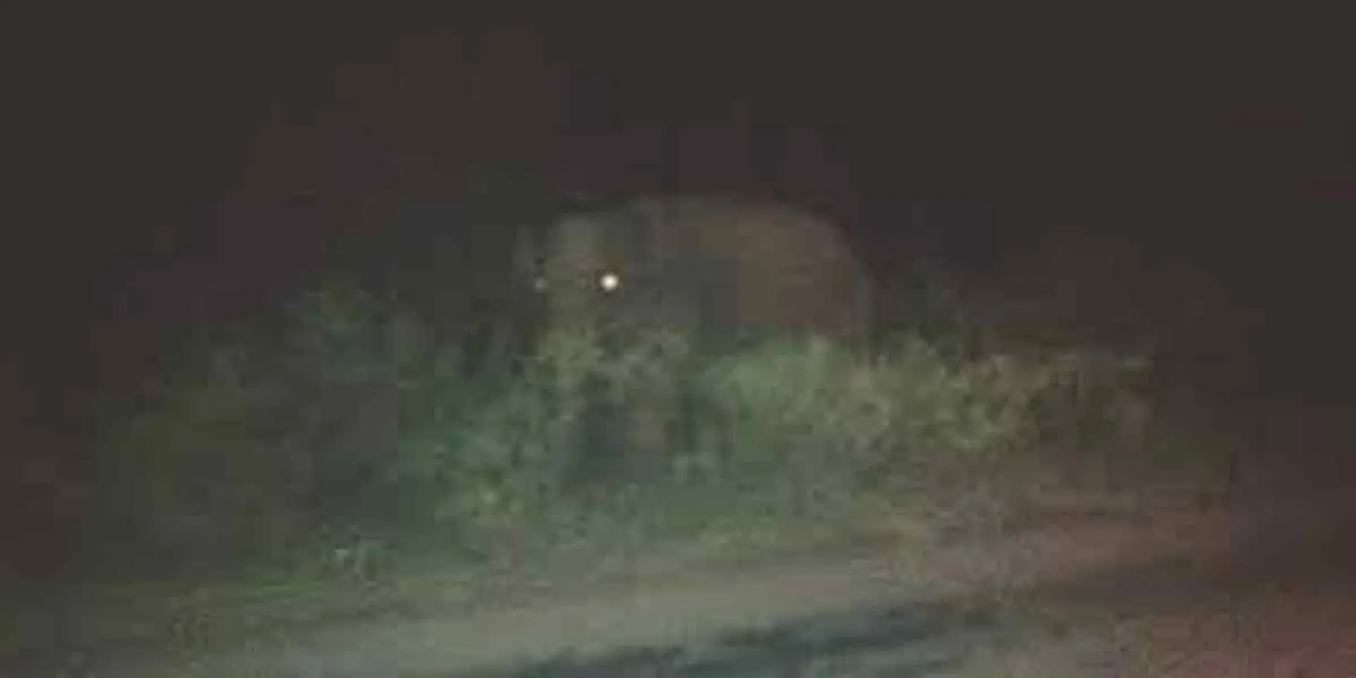 incident in sathyamangalam 