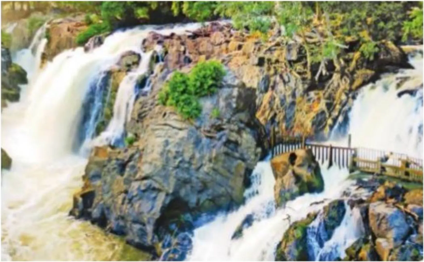 hogenakkal falls peoples and tourists allowed soon 