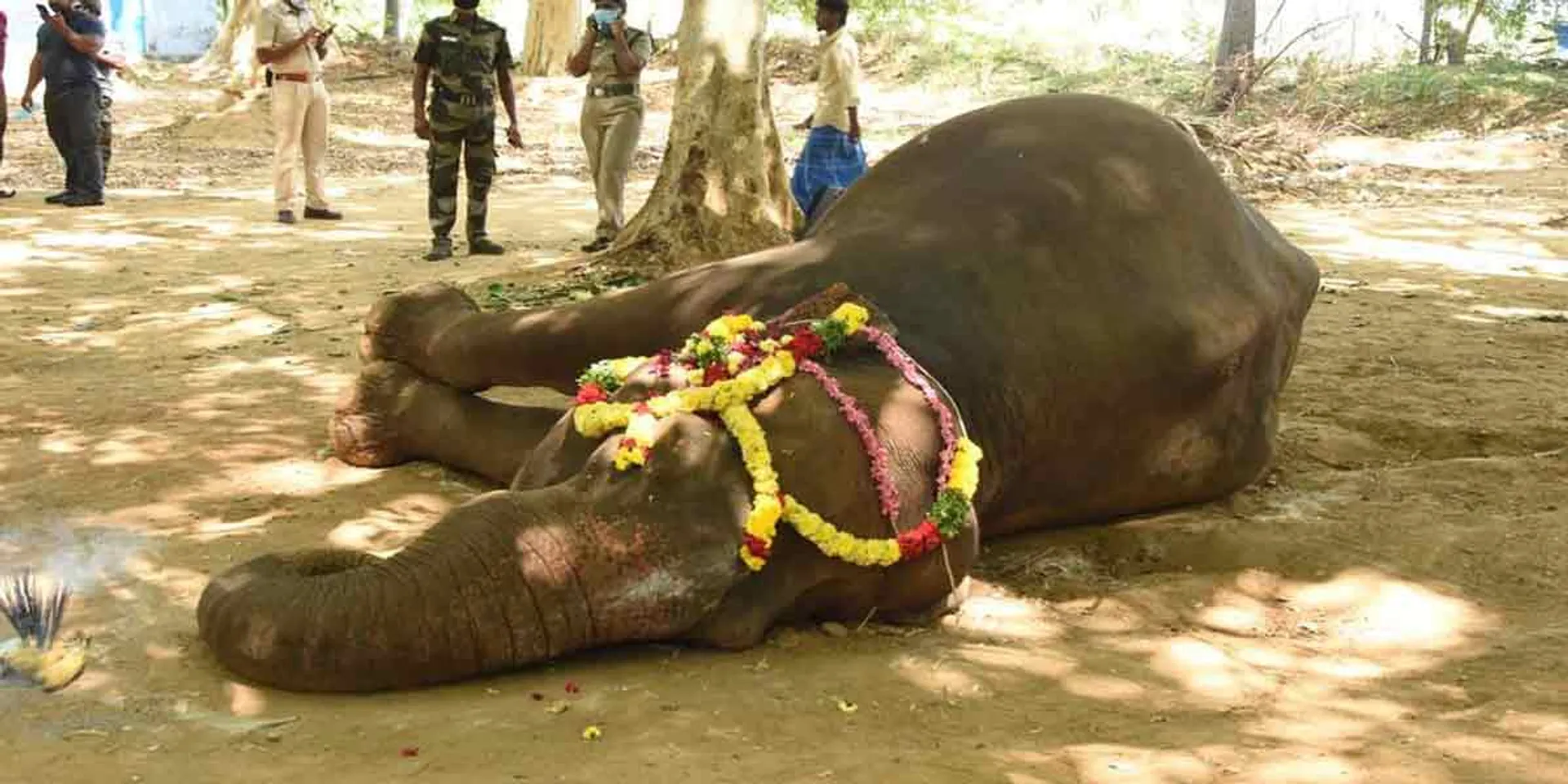 incident in thenkasi