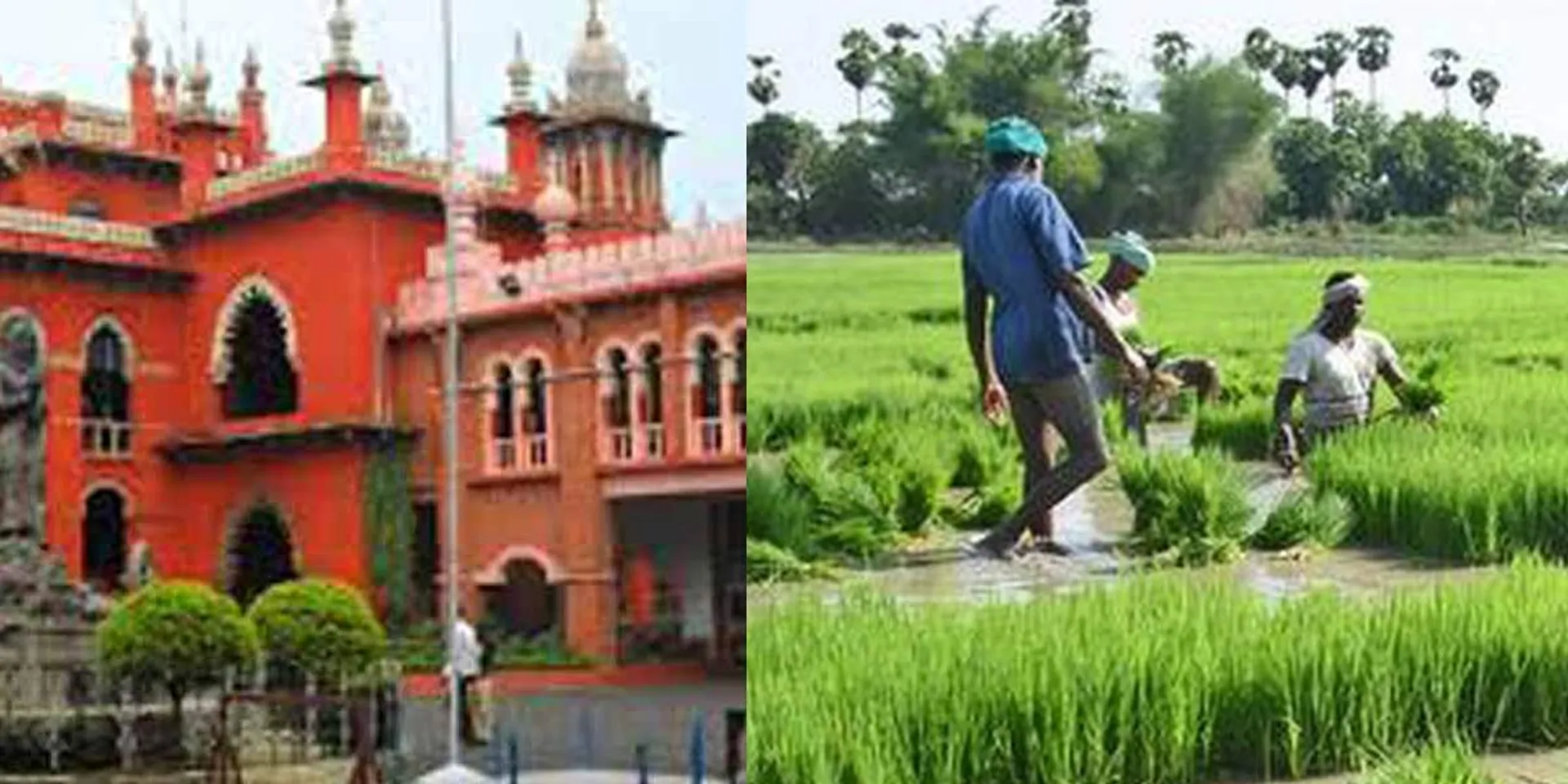 Government of Tamil Nadu instructed to expedite the process of opening a new account to obtain agricultural credit!