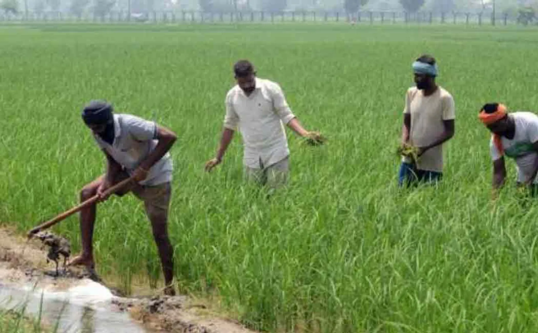 punjab passes bill against farm laws