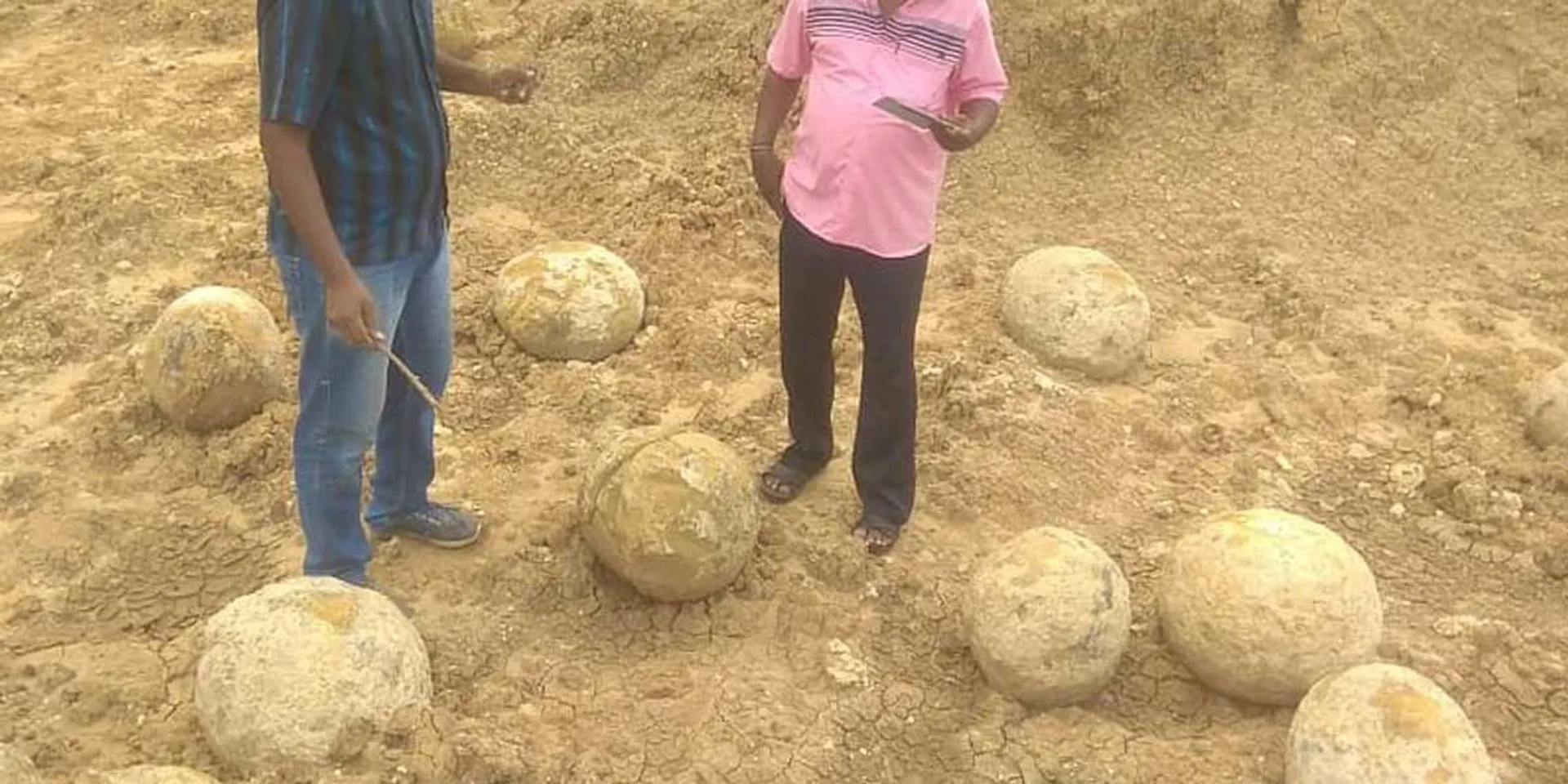 Dinosaur eggs found in Perambalur?