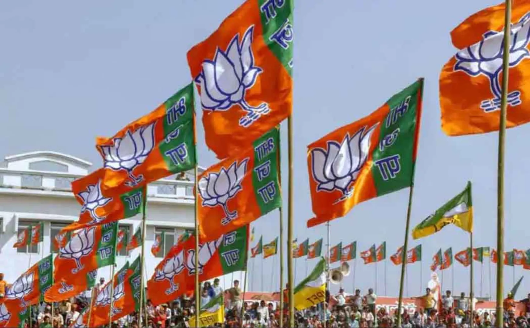 bjp symbol 