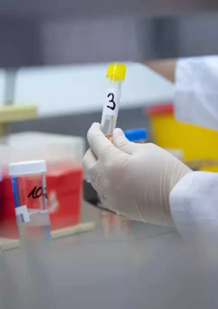 /idhalgal/general-knowledge/complete-description-corona-virus-vaccine