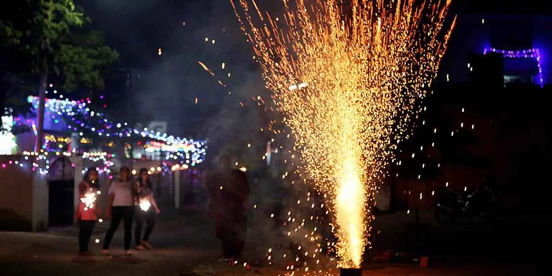 Fireworks ban ...? Green Tribunal Notice!