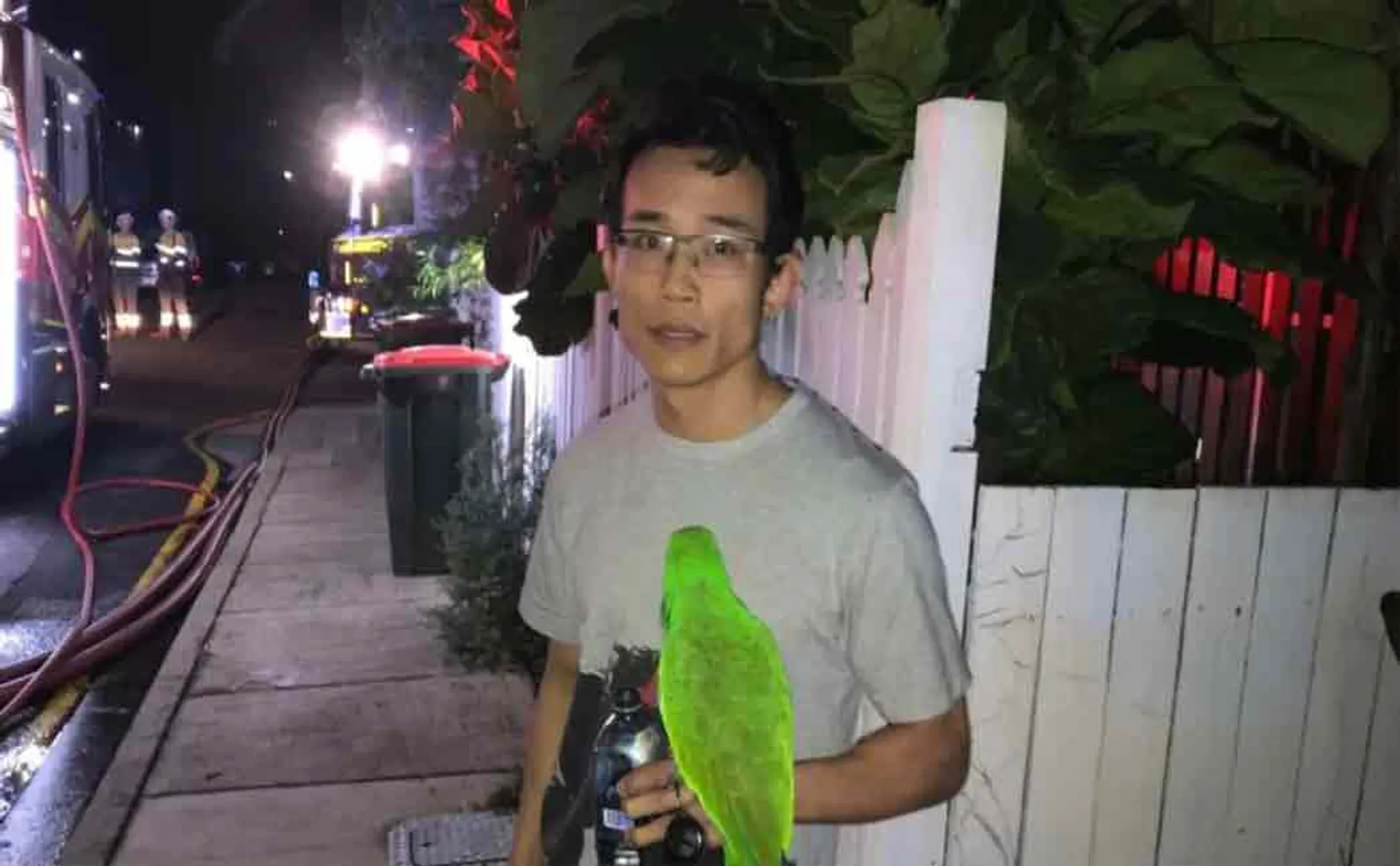 parrot