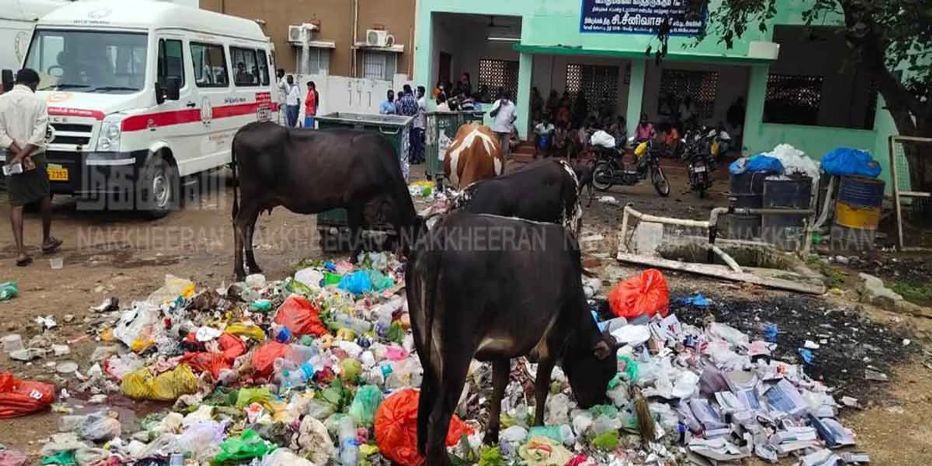 dindigul govt hospital