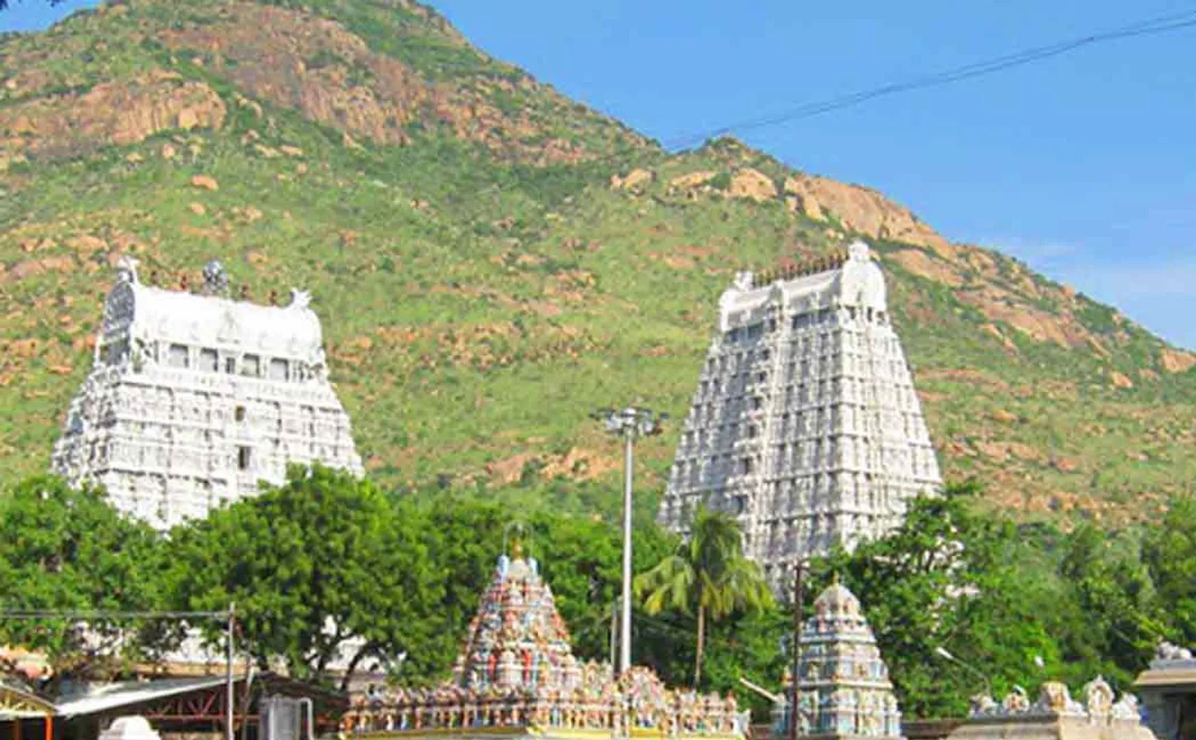 Thiruvannamalai Festival: The decision of support and opposition is in the hands of the government ...