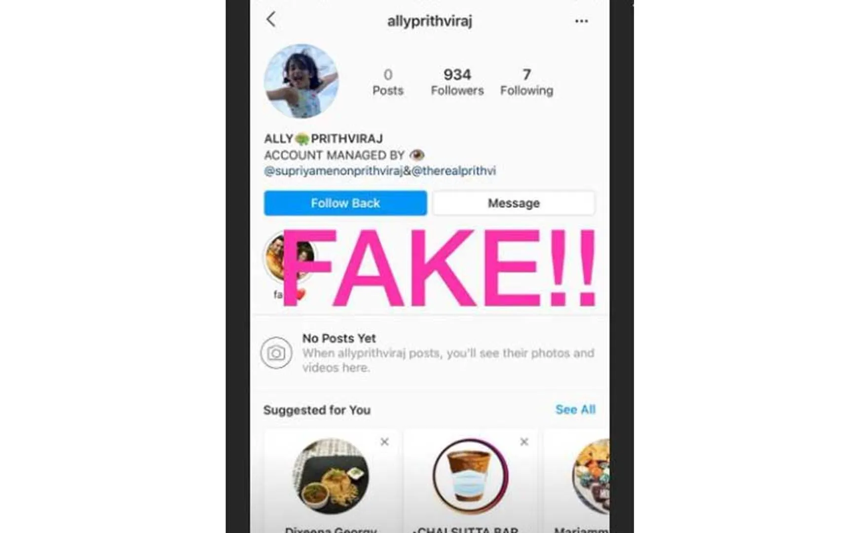 fake 