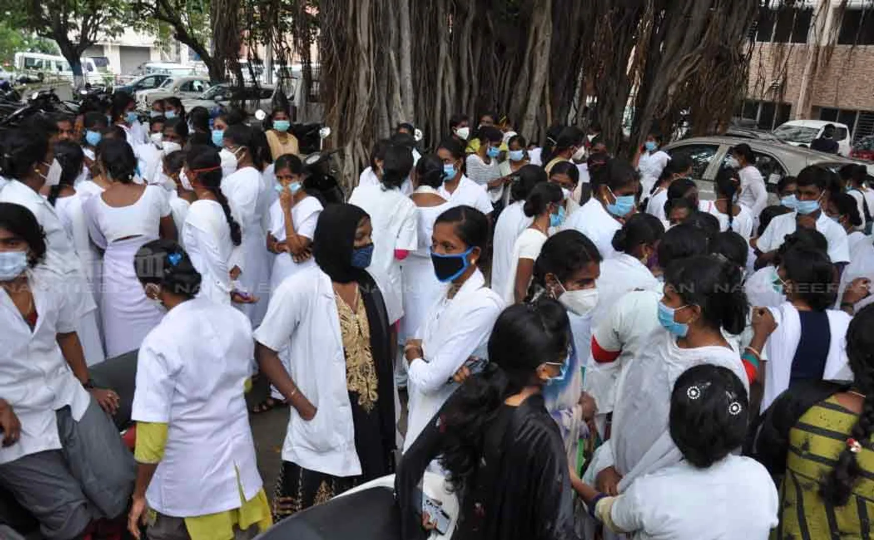 Nurses protest demanding job security (images)
