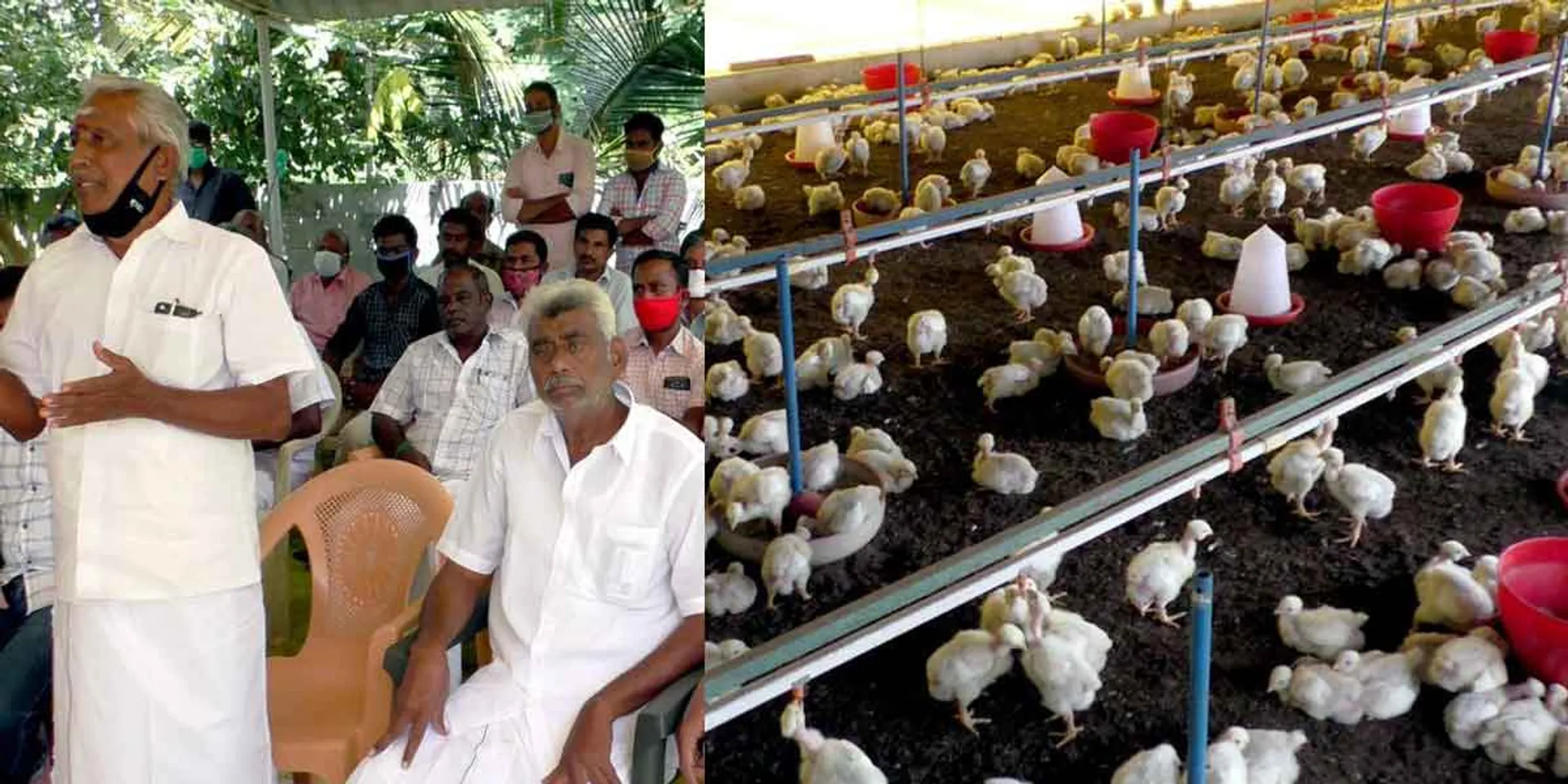 Low wages for workers ... sales at high profits ...! - Poultry prices are going up due to the struggle