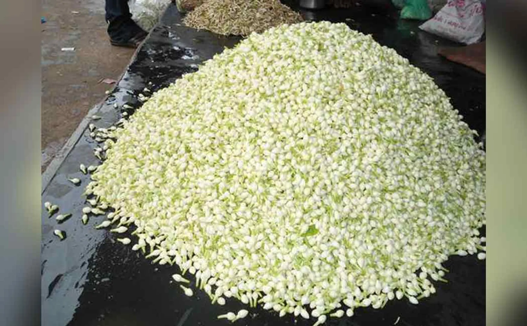The price of the flowers rose...!