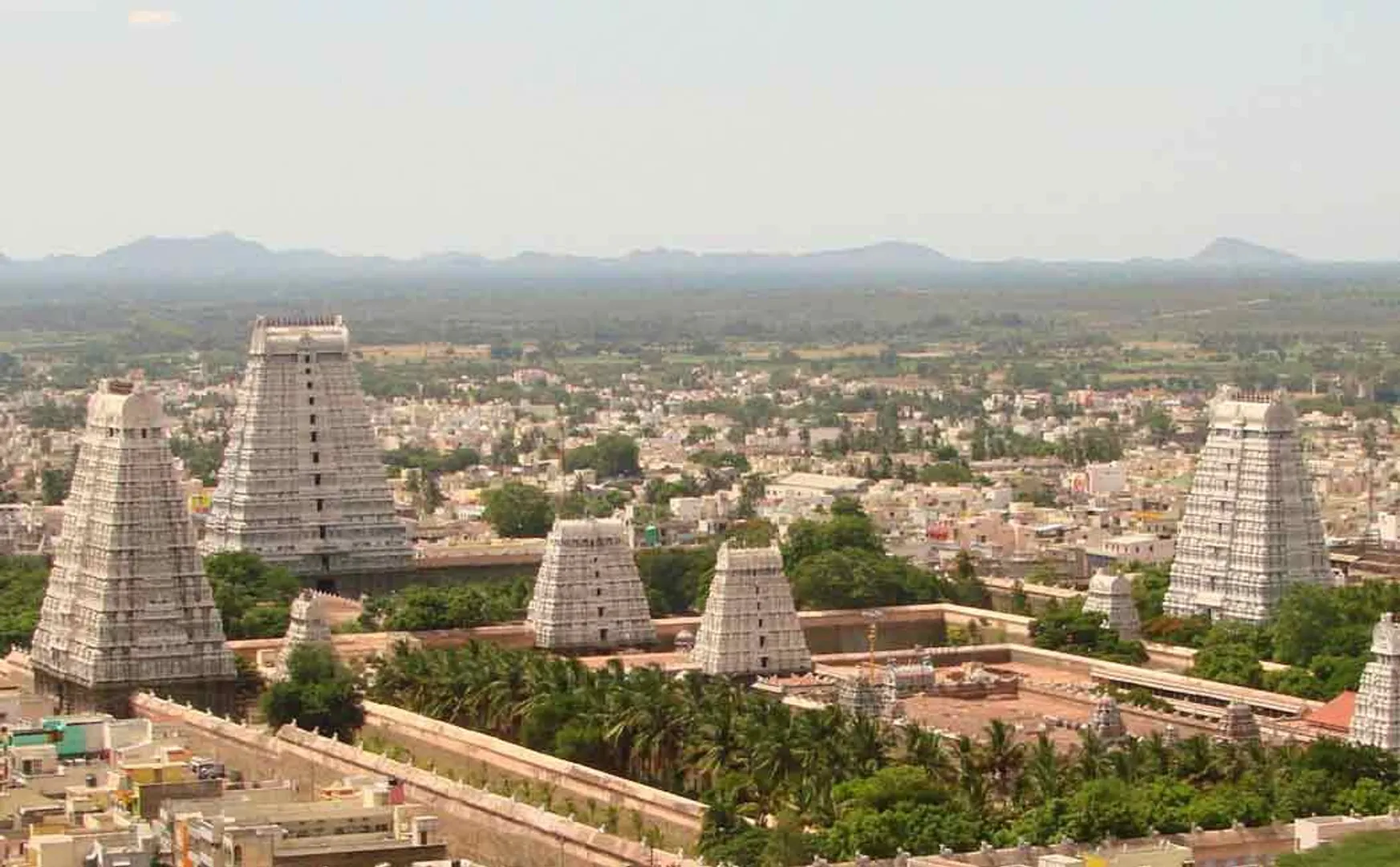 thiruvannamalai deepam festival 