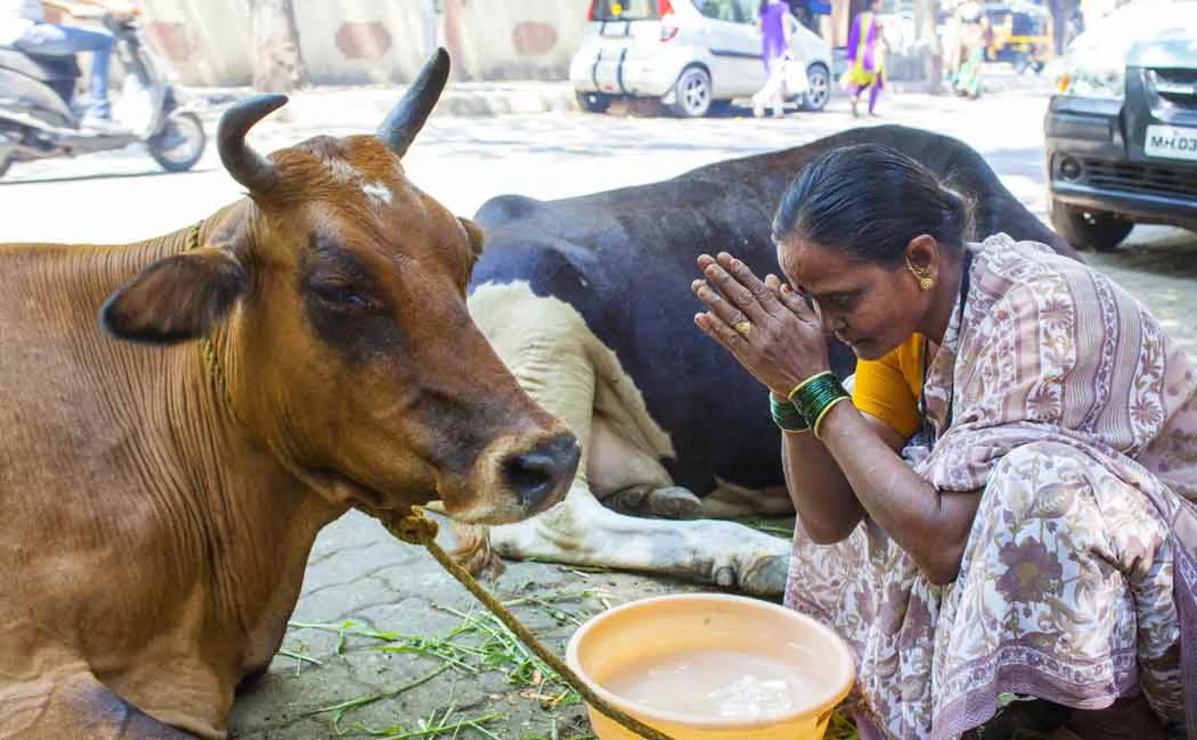 madhyapradesh goverment plans to levy gaumata tax