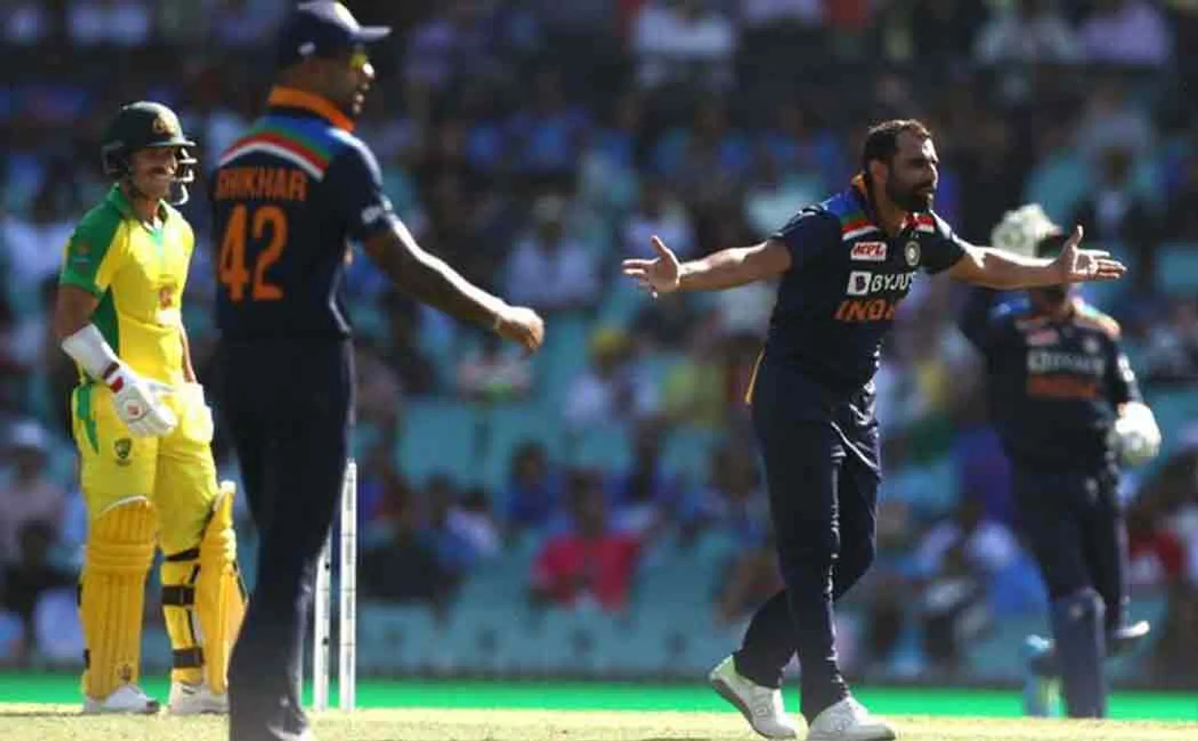 ind vs aus