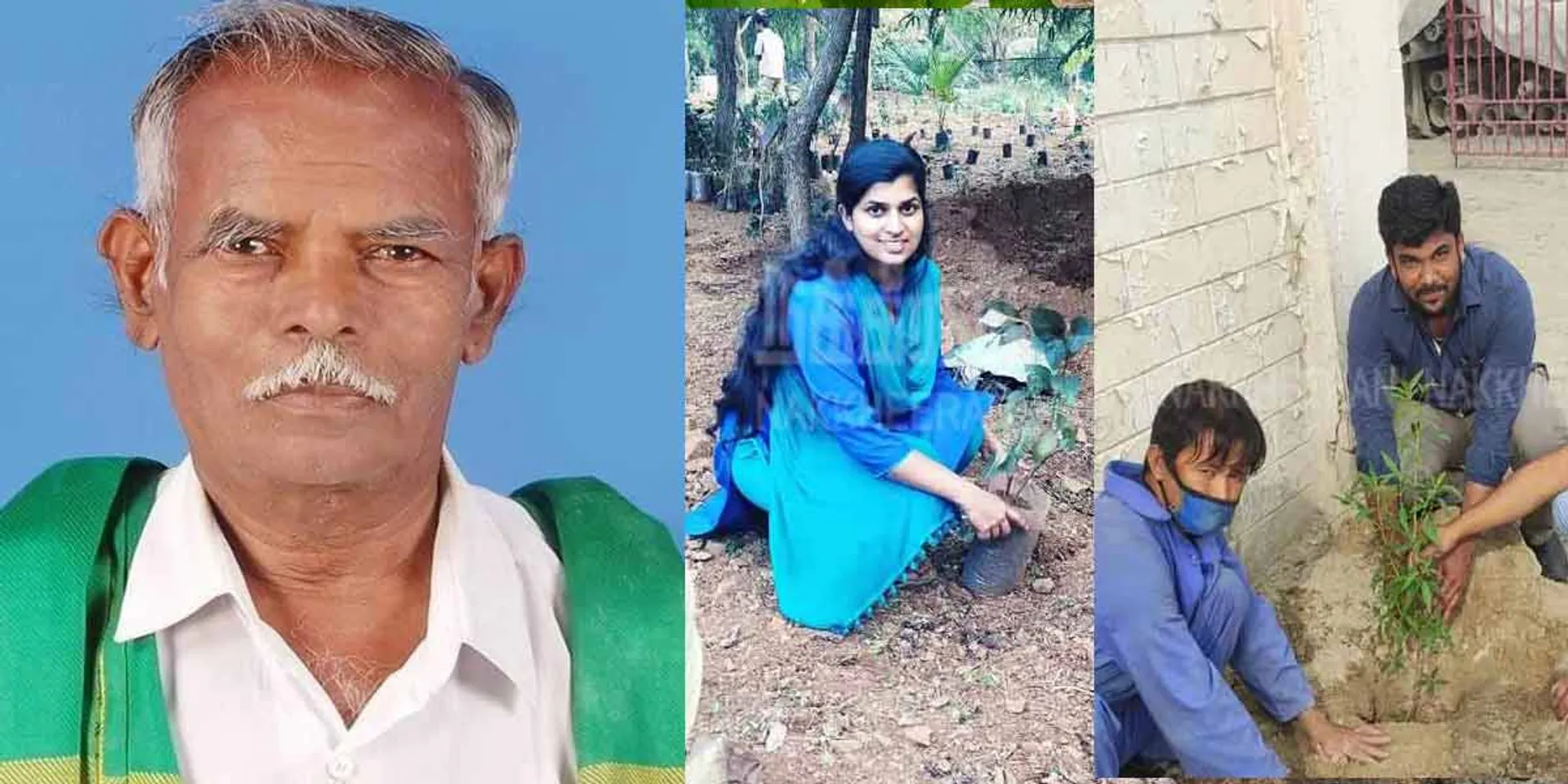 Awareness sown by the lover of trees ... on a birthday Planted saplings