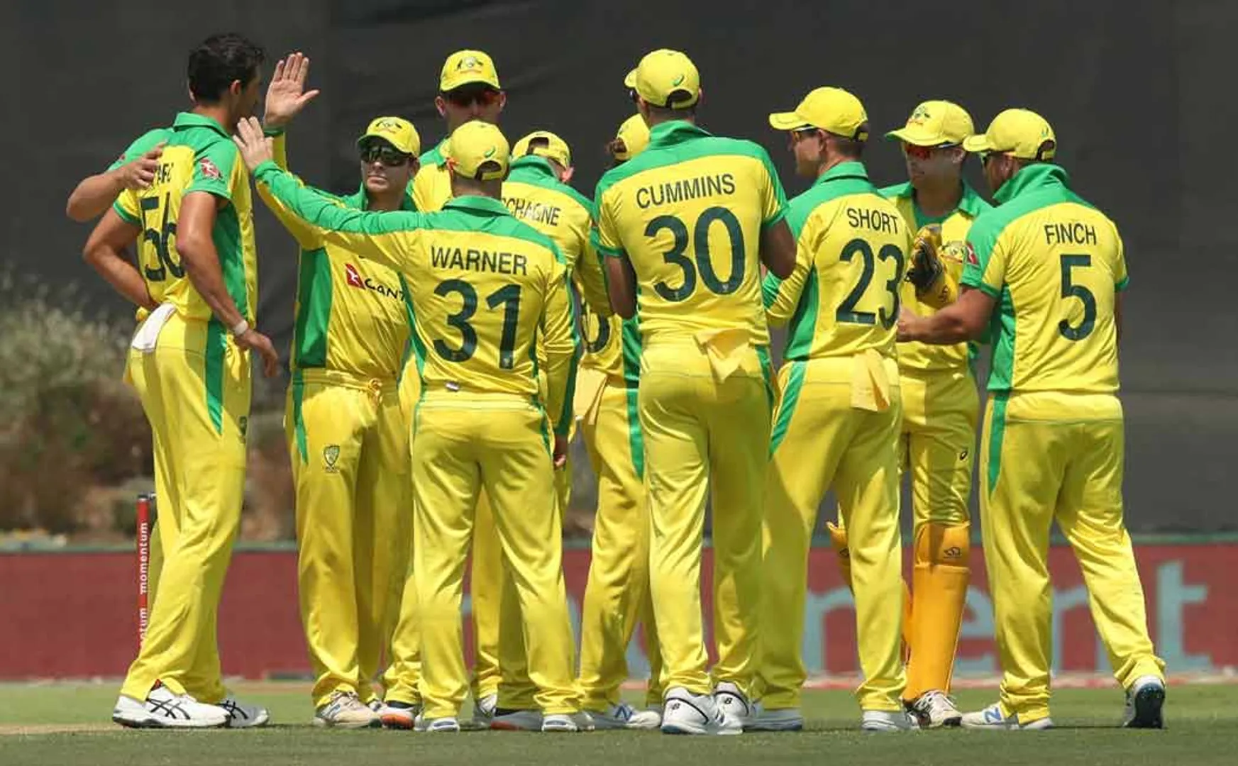 david warner