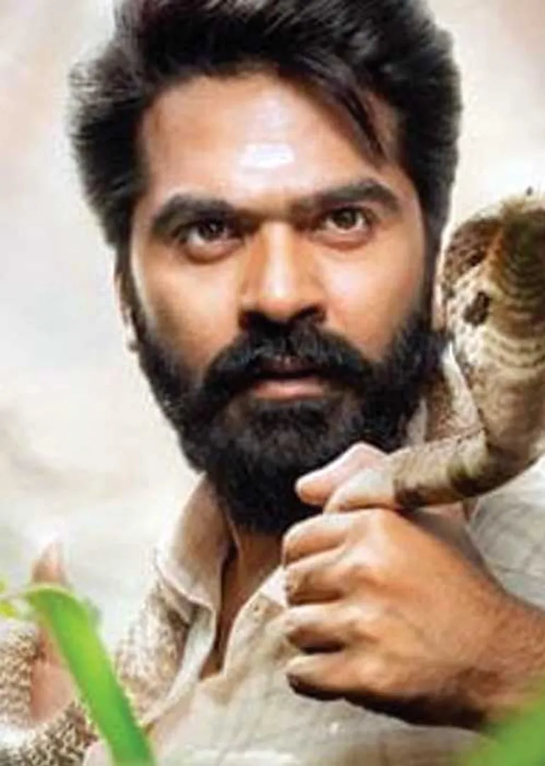 simbu