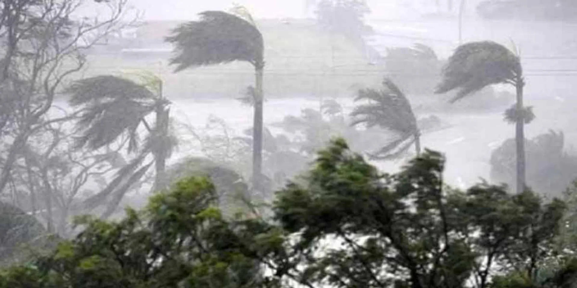 Echo of 'Purevi' storm ... Holiday for 6 districts tomorrow!