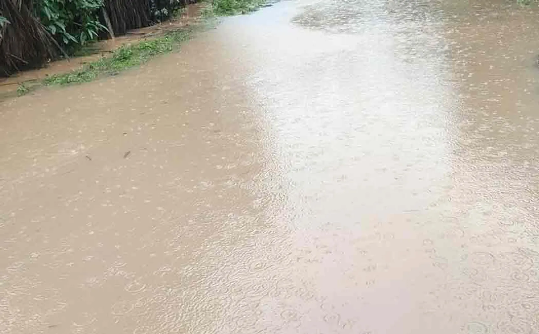 Pudukottai, Tanjore districts with wind and rain ...