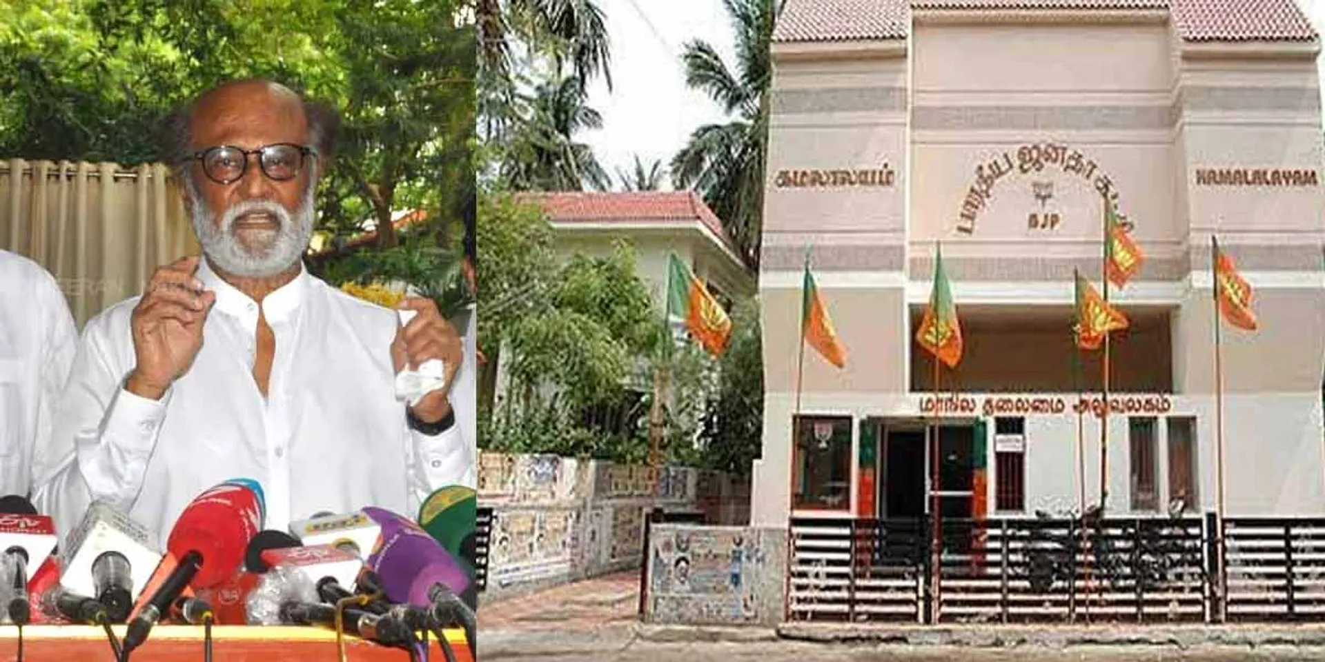 Famous astrologer 'Shelvi' joins BJP