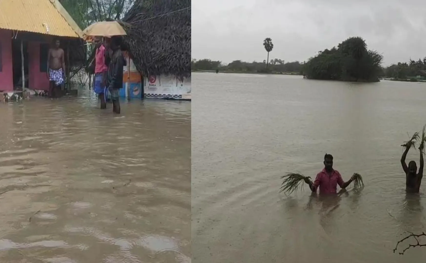 nagai district heavy rains farmers land peoples government 