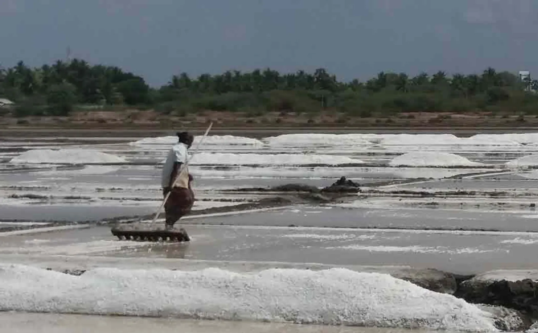 Salt producers affected due to rains in Marakkanam area ...