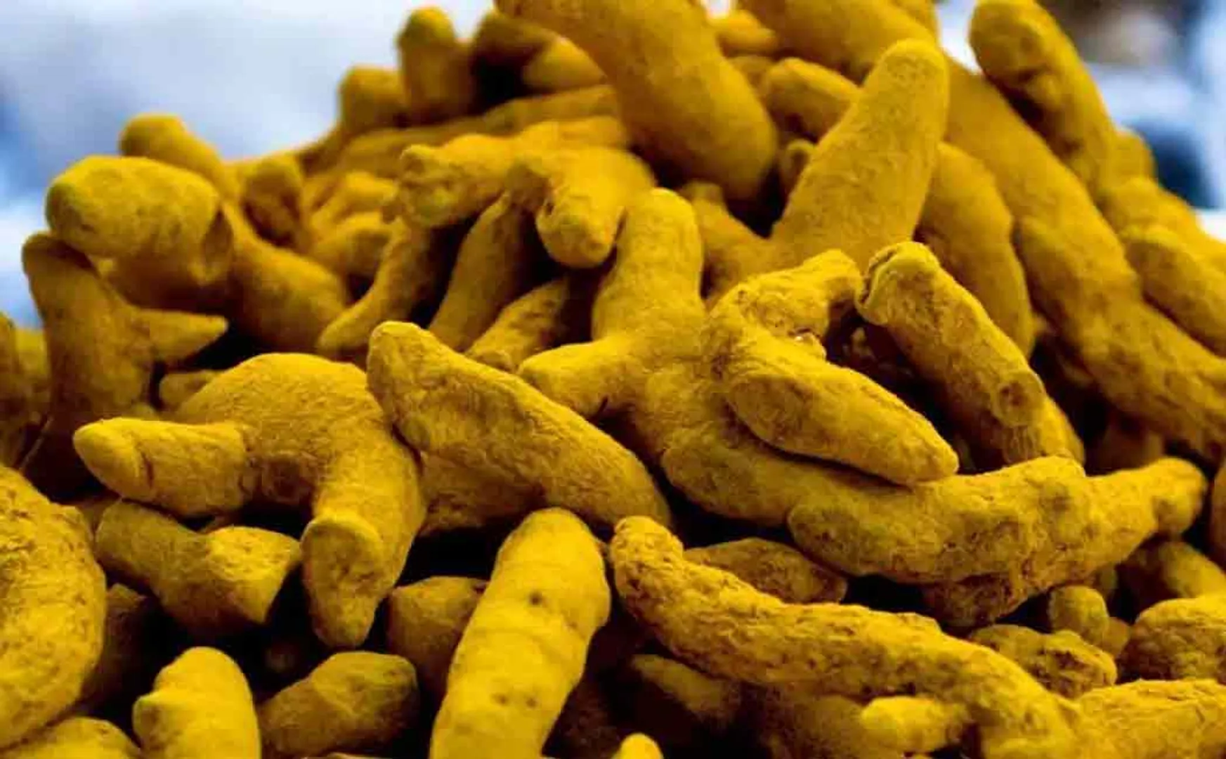Turmeric bundles caught trying to transport to Sri Lanka 
