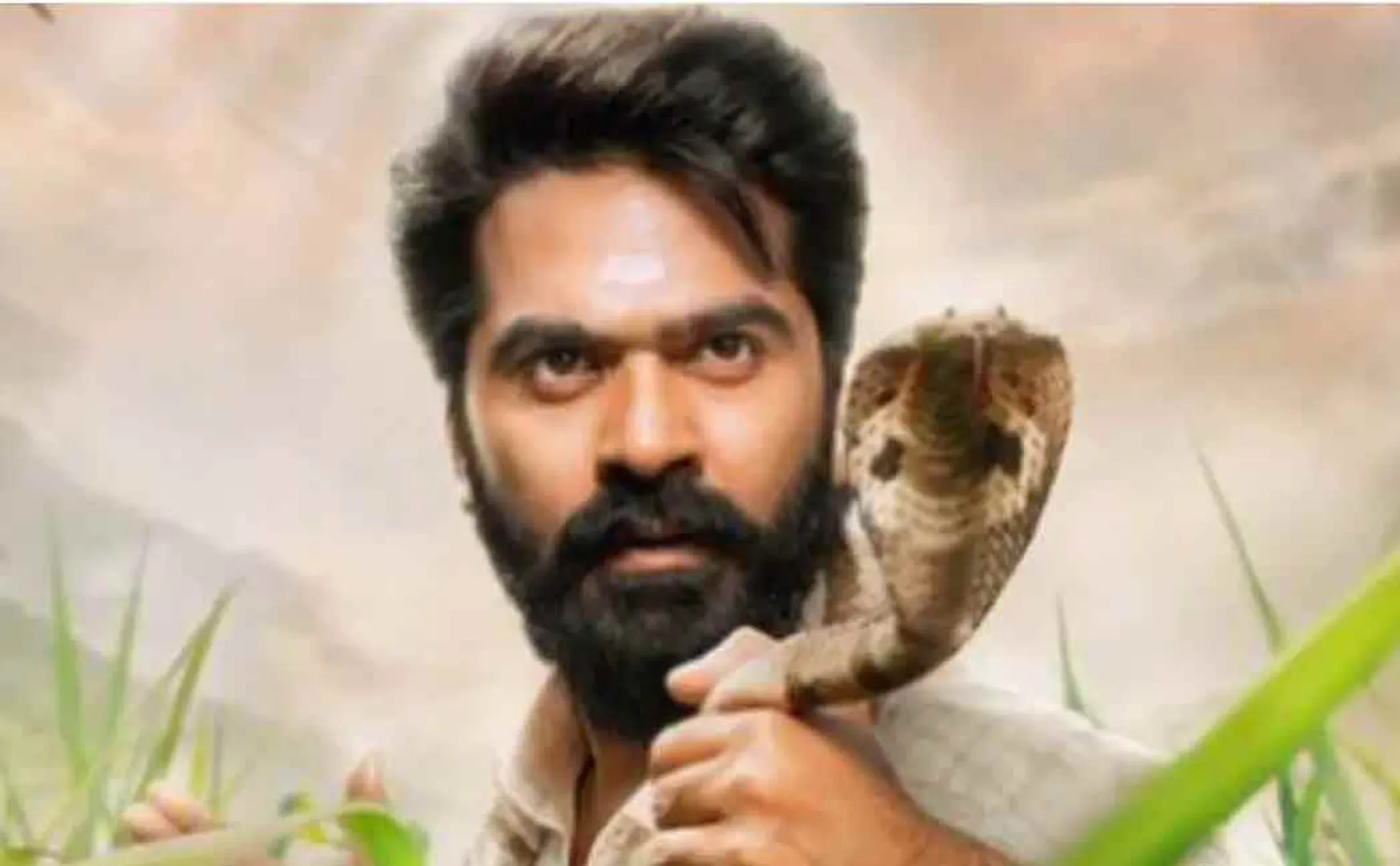 simbu
