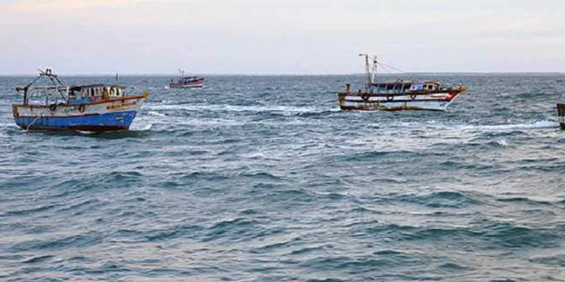 More than 20 Tamil Nadu fishermen arrested by Sri Lankan Navy