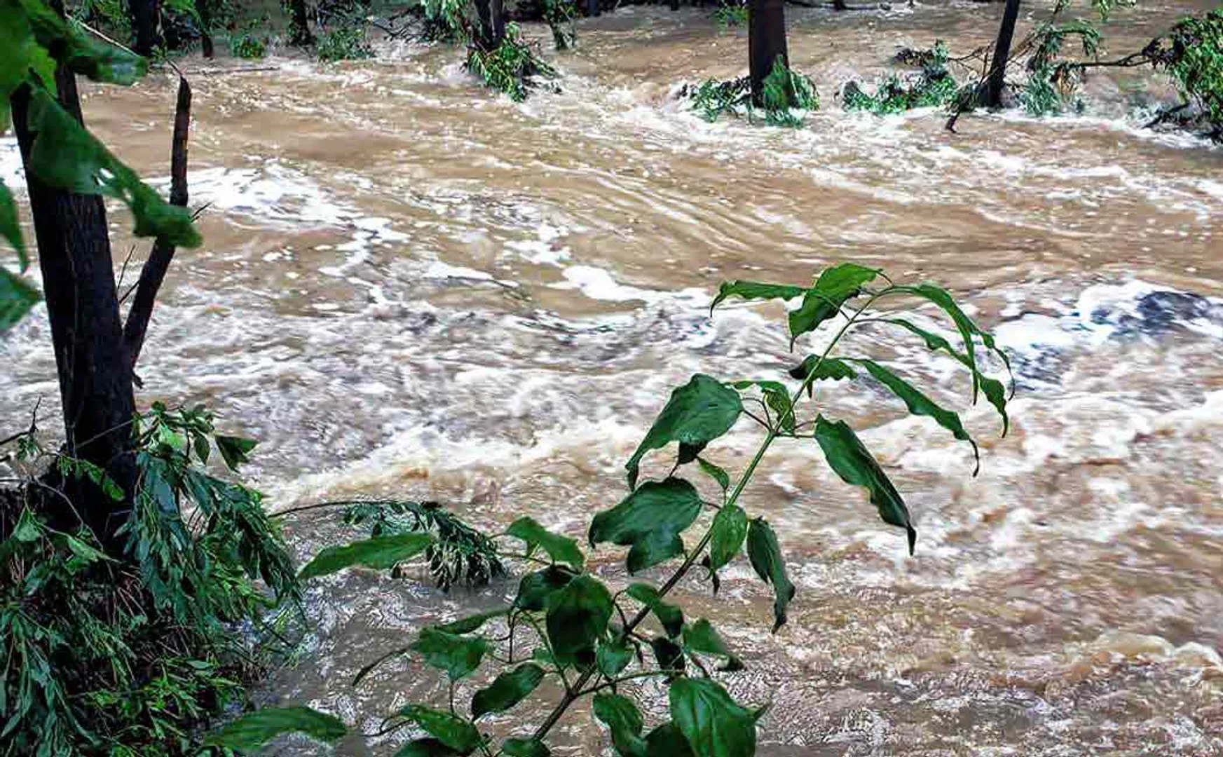 The fire department is on the lookout for a disabled person who was swept away in a flood ...