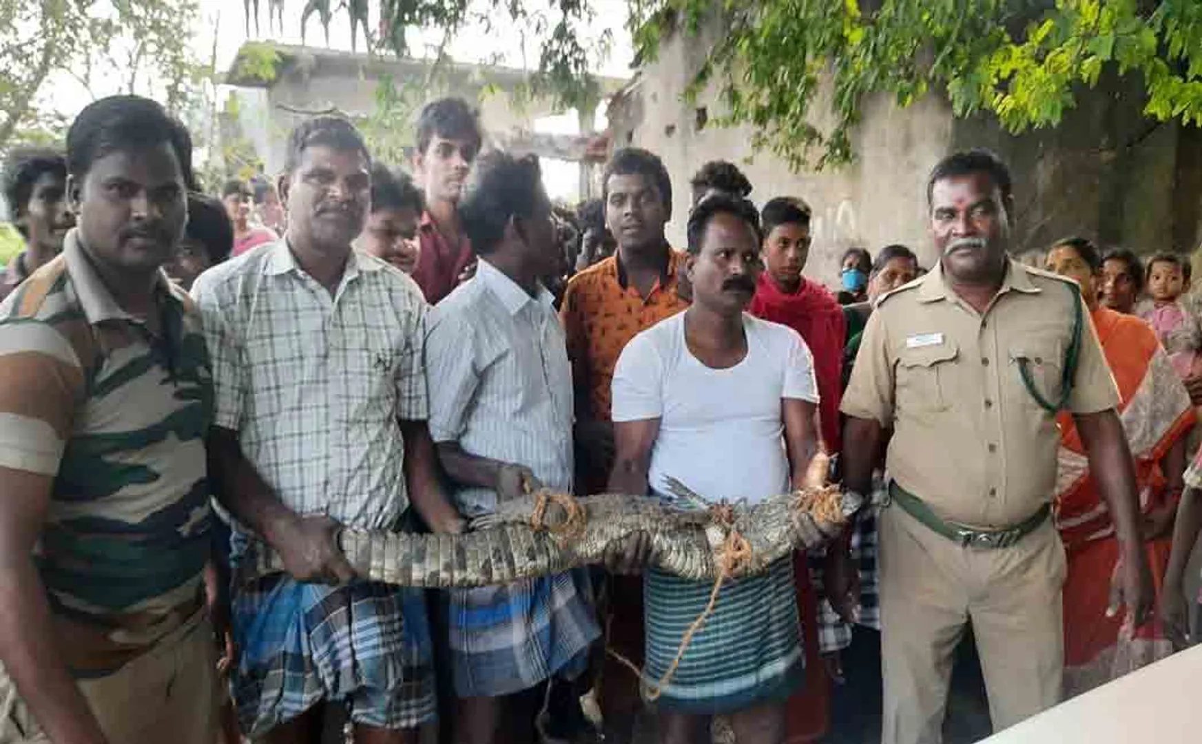 Crocodile forest officers chidambaram 