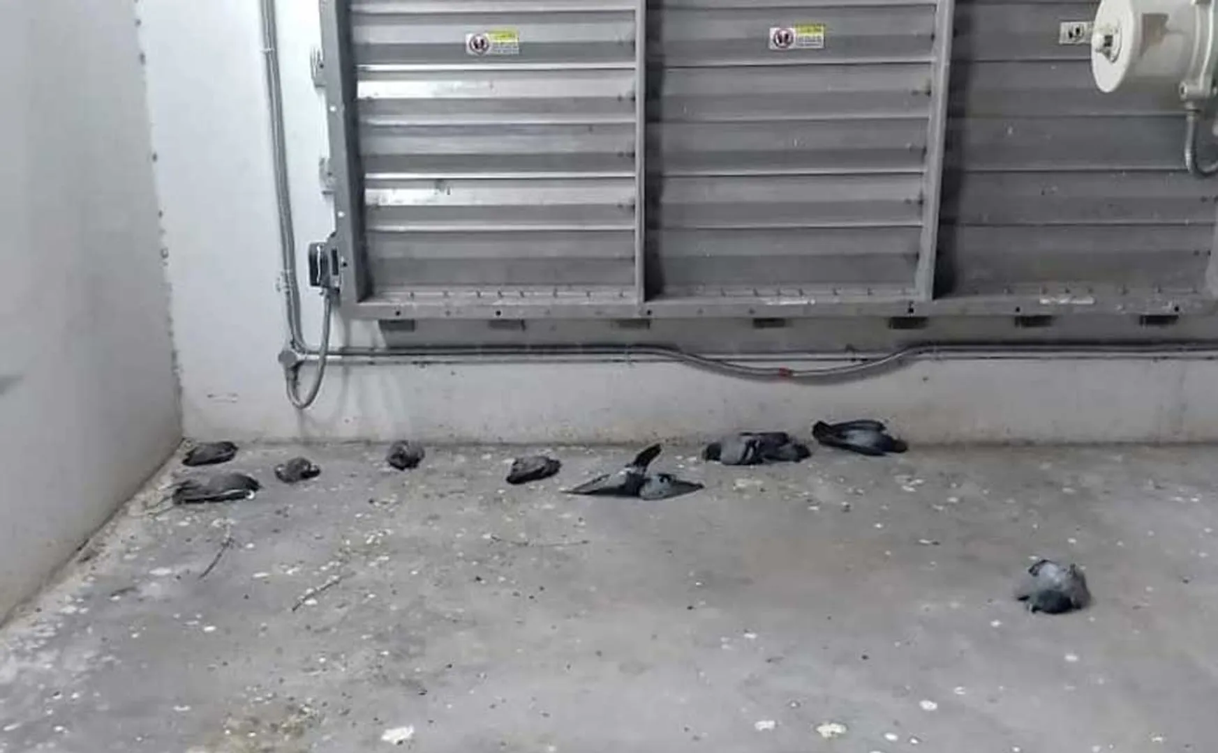 metro 