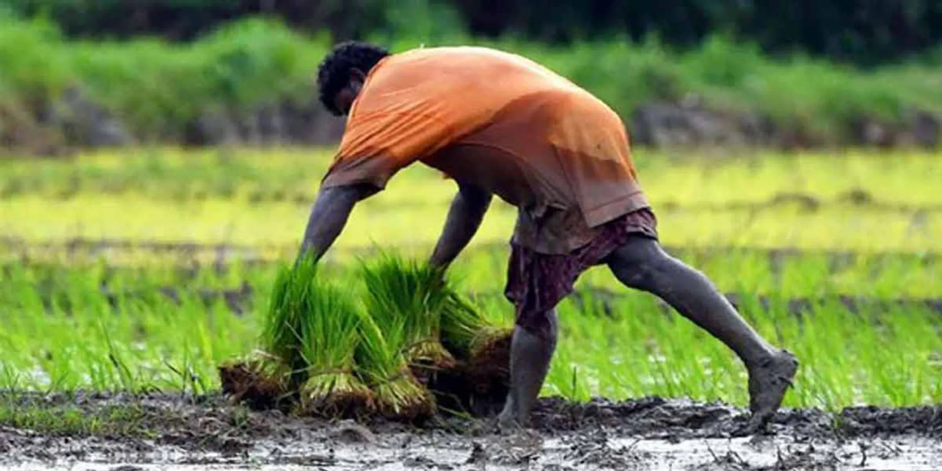  Resolution against the Agriculture Bill-Governor's Permission!