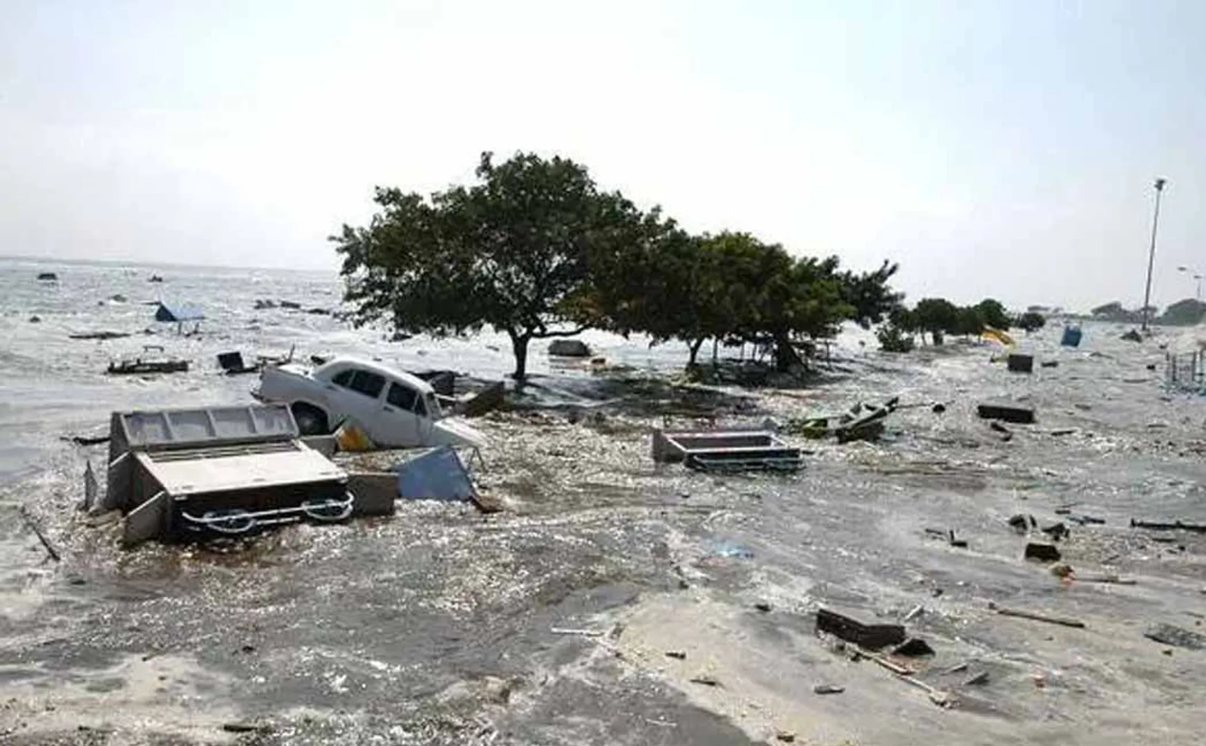 tsunami tributes tamilnadu peoples, fisherman's 
