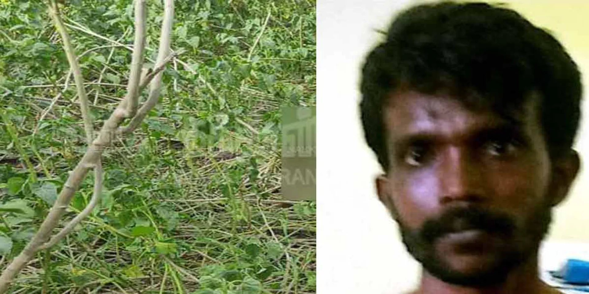 court sentence in pudukottai case 