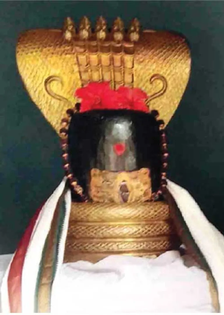 /idhalgal/om/awesome-korakai-adisivan-sp-sekar