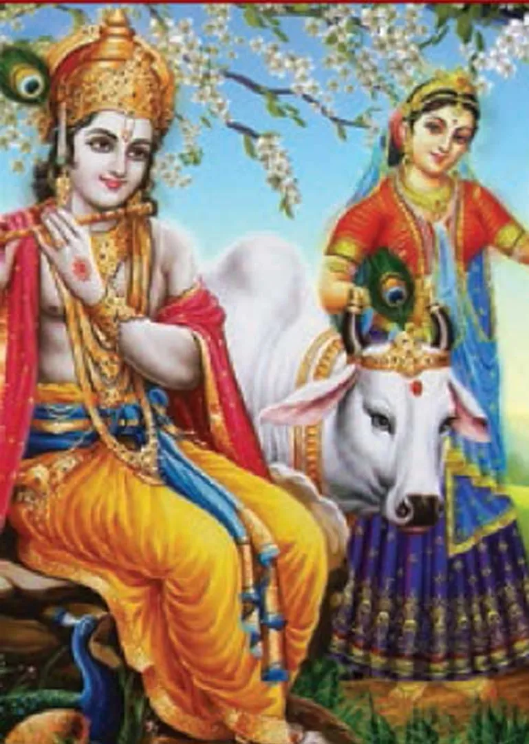 /idhalgal/balajothidam/whom-marriage-relationship-siddhardasan-sundarji-jeevanadi-observatory