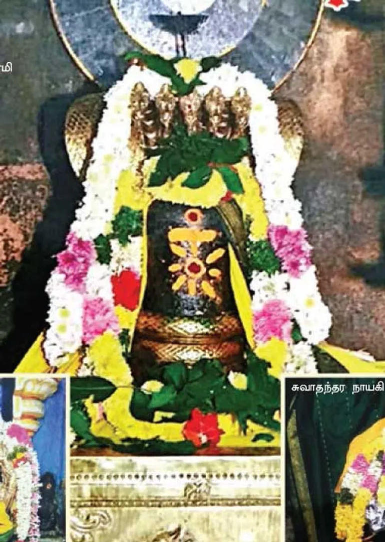 /idhalgal/om/covai-arumugam