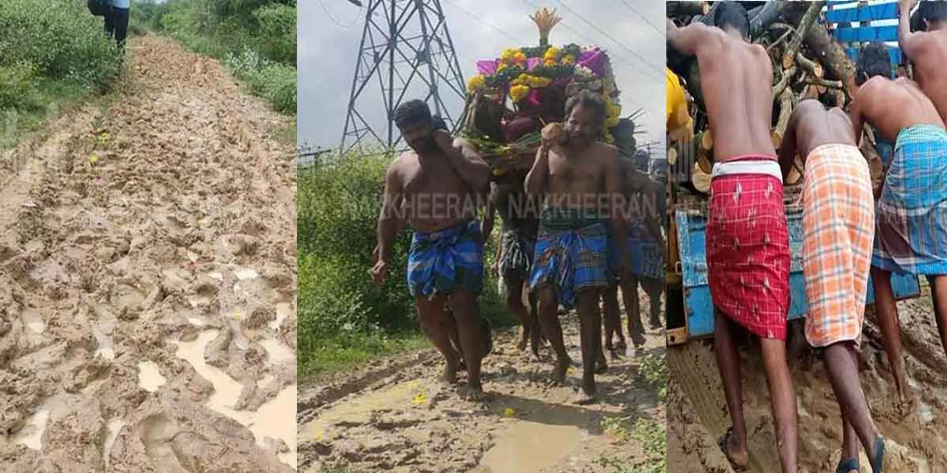 pudukottai Collector who ordered the action!