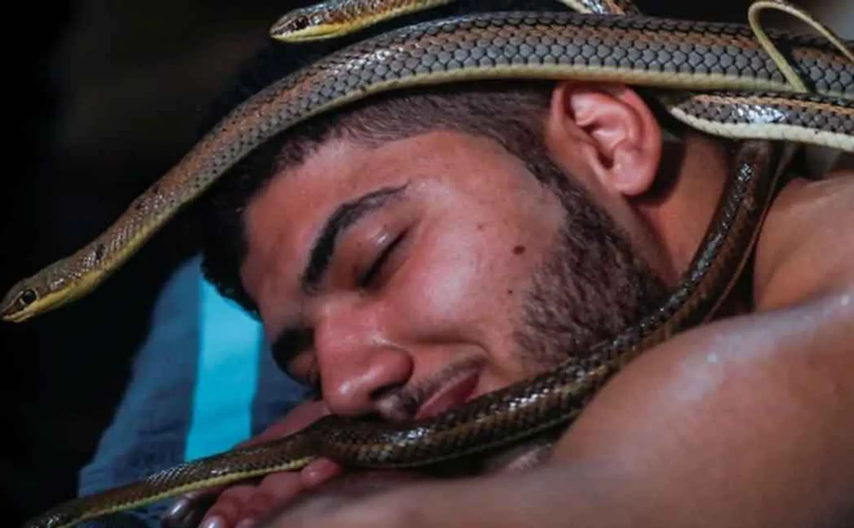 snake massage 
