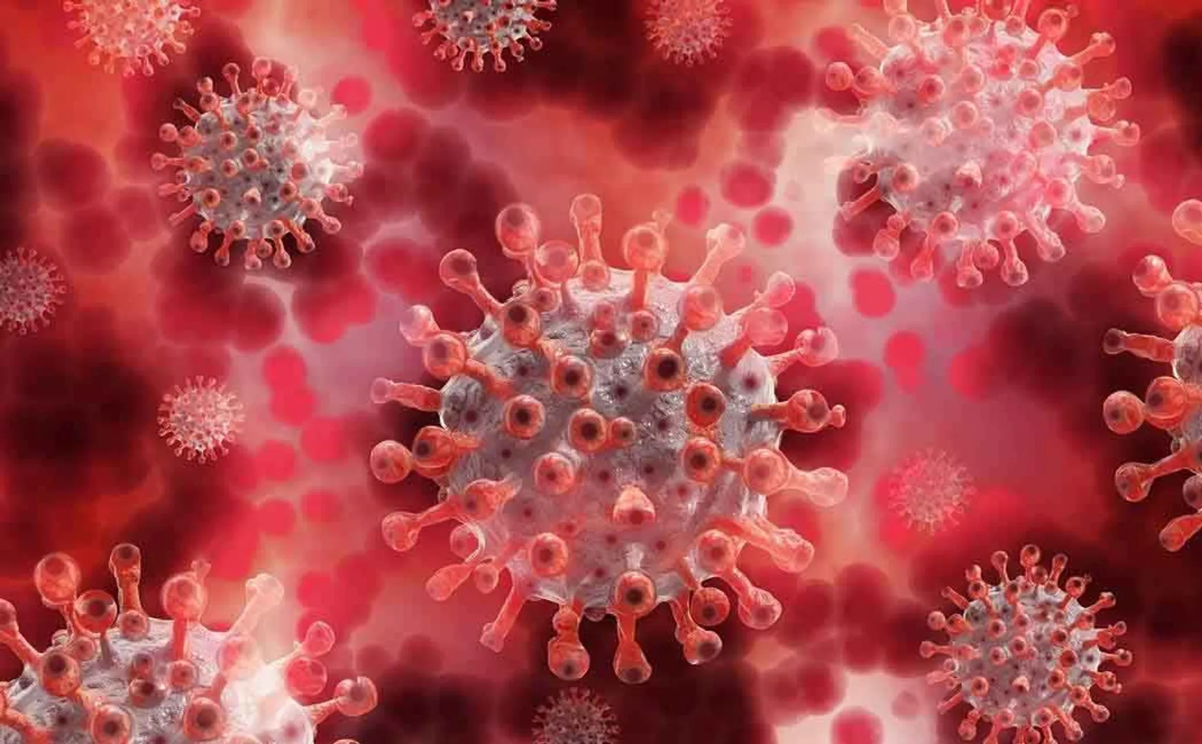 india coronavirus strain 58 new cases 