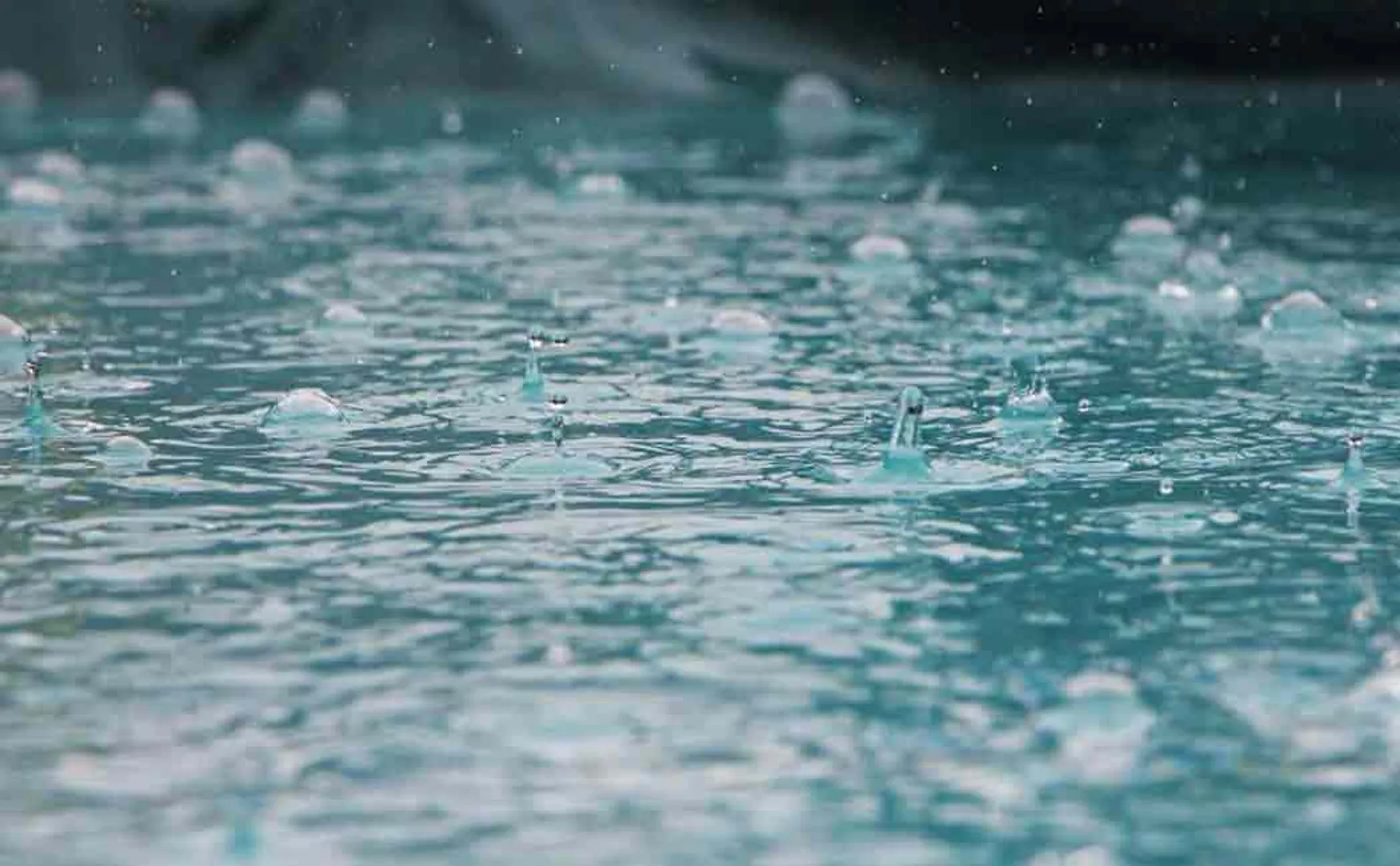 Expert panel seeks lawsuit to stop rainwater from being wasted in the sea! - Tamil Nadu government ordered to respond!